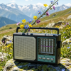 Rising radio RS 3060 - Thumbnail Image 4