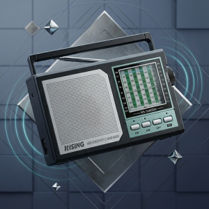 Rising radio RS 3060