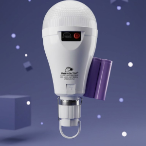 LED bulb
