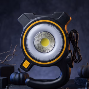 Solar light