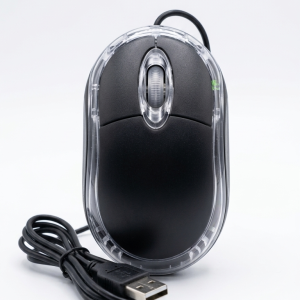 Computer Mouse