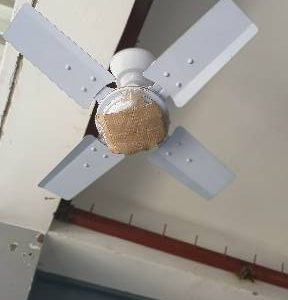 Ceiling feni blade