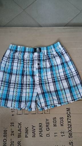 Boxer - Image 1