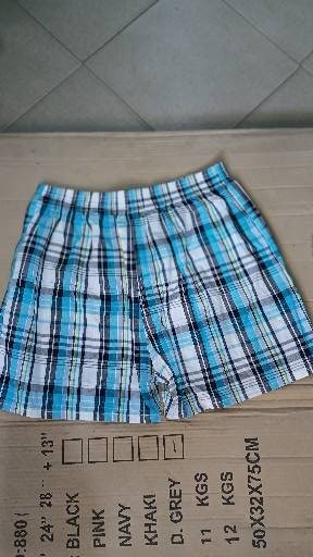 Boxer - Image 3